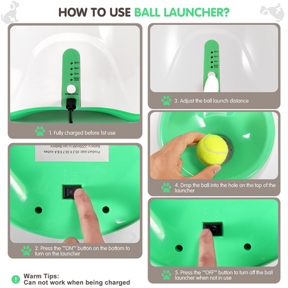 Automatic Tennis Ball Launcher for Dogs